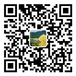 大发官网